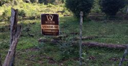 Área Rural em Porto Biguá