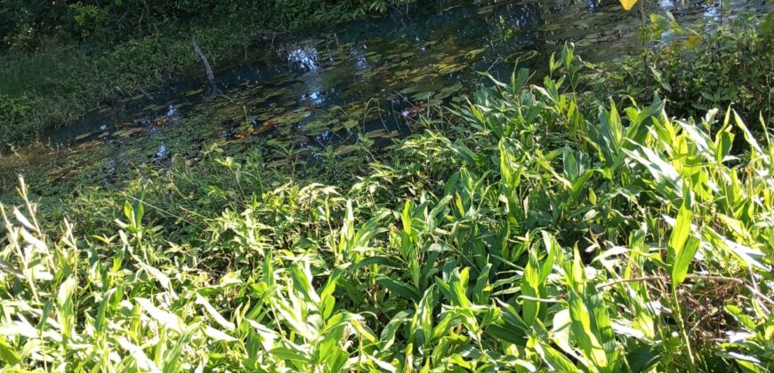Área Rural em Porto Biguá