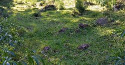 Área Rural em Porto Biguá
