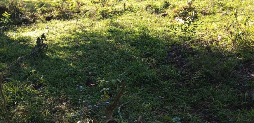 Área Rural em Porto Biguá