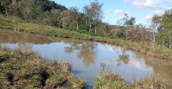Área Rural em Porto Biguá