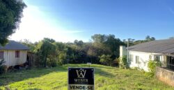 Lote Central