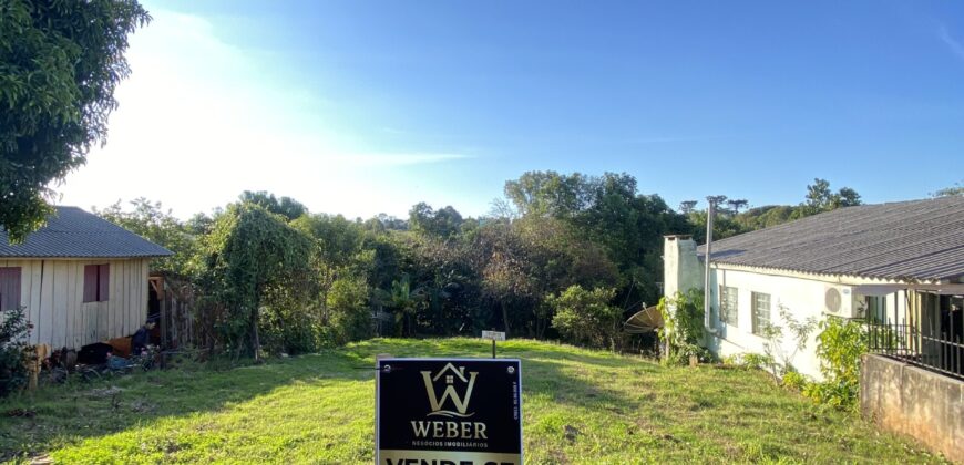 Lote Central