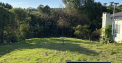 Lote Central