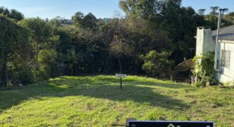 Lote Central