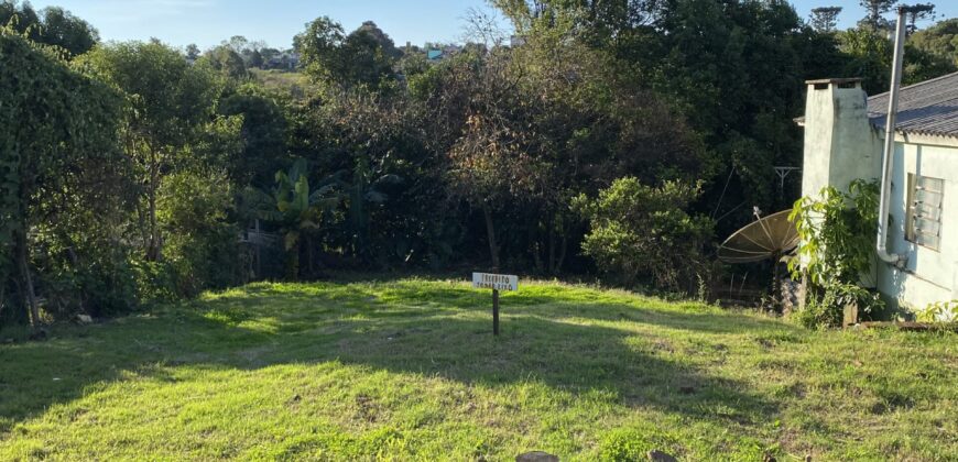 Lote Central