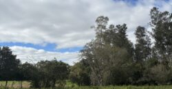 Terreno a venda em Candeia – Santa Rosa/RS