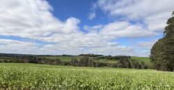 Terreno a venda em Candeia – Santa Rosa/RS